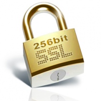 What is Secure Sockets Layer (SSL) and How it Works