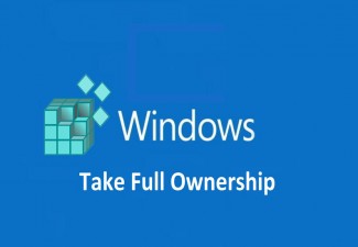 Take ownership in windows